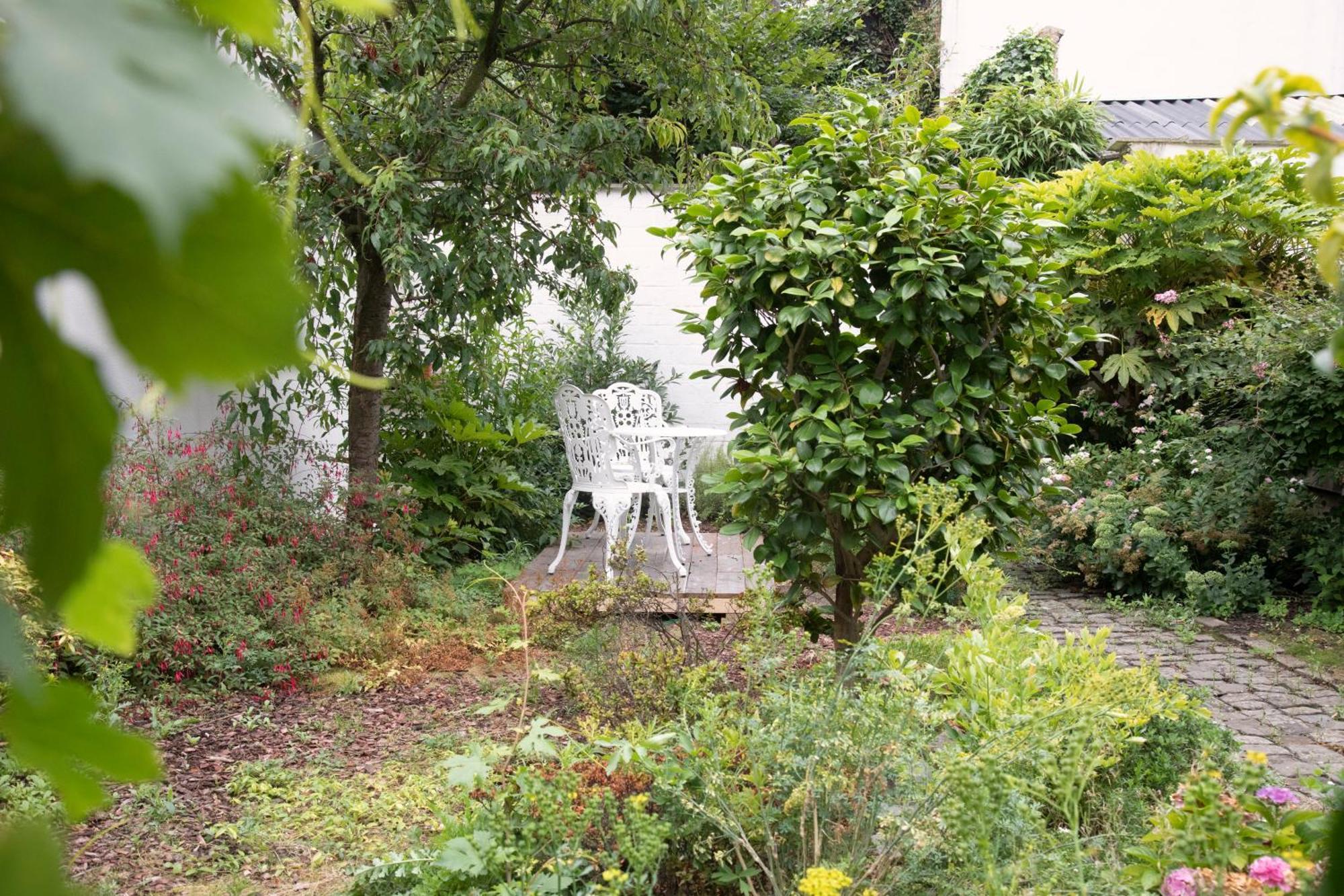 The Greenhouse Antwerp Exterior photo